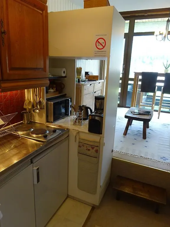 Le Grepon Des Pecles Apartment Chamonix France